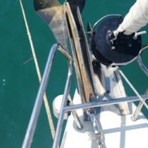 Jeanneau Sun Odyssey 479