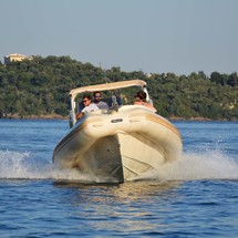 Zeus 26
