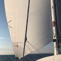 TS 42