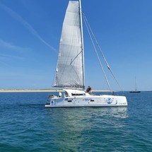 TS 42