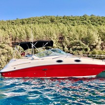 Sea ray 240