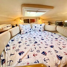 Sea ray 240