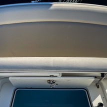 Boston Whaler 330 Outrage