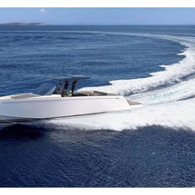 Pardo 43