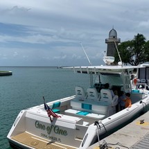 Stamas tarpon 290