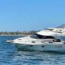 Nautor's Swan Club 36