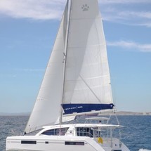 Leopard 40