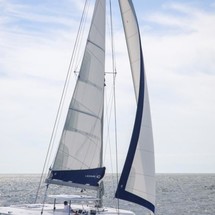 Leopard 40