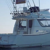 Rodman 1250