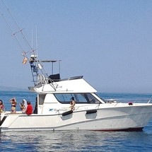Rodman 1250
