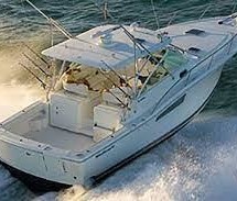 Wellcraft 290 Coastal