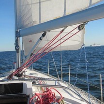 Delphia 40.3