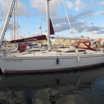 Delphia 40.3
