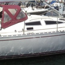 Delphia 40.3