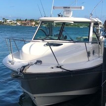 Boston Whaler 315 Conquest