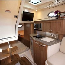 Boston Whaler 315 Conquest