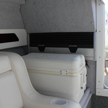 Pro-line 2950 mid cabin