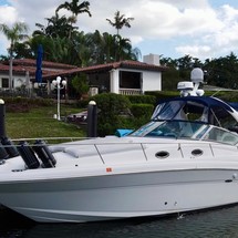 Sea ray sundancer