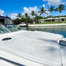 Sea ray sundancer