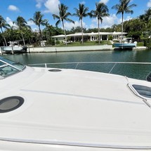 Sea ray sundancer