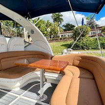 Sea ray sundancer