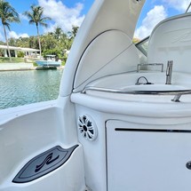 Sea ray sundancer
