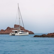 Leopard 50