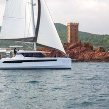 Leopard 50