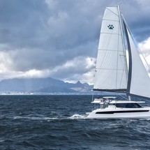 Leopard 50