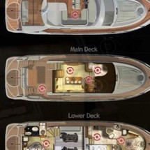 Pearl 50