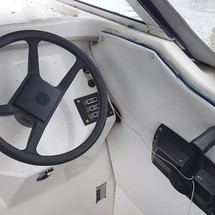 Dolphin cabin cruiser