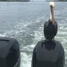 Boston Whaler 285 Conquest