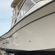 Grady-White Freedom 335