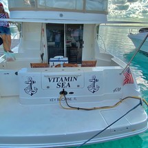 Sea ray 420 sedan bridge