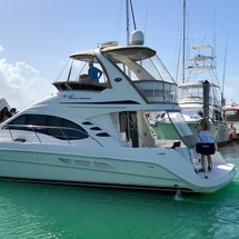 Sea ray 420 sedan bridge