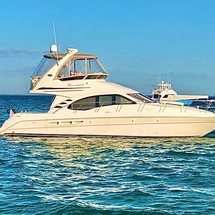 Sea ray 420 sedan bridge