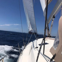Bavaria Cruiser 51