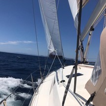 Bavaria Cruiser 51