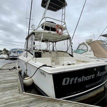 Luhrs 290 open