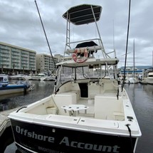 Luhrs 290 open