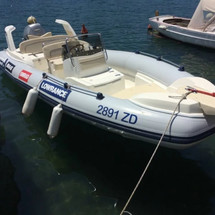 Marlin 20