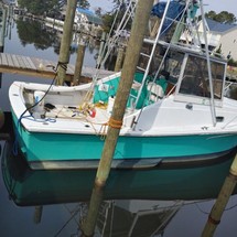 Uniflite salty dog