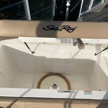 Sea Ray SPX 230 OB
