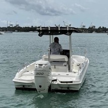 Boston Whaler 240 Dauntless