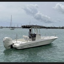 Boston Whaler 240 Dauntless