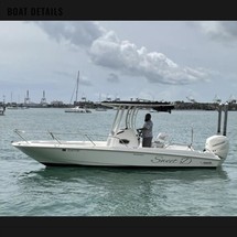 Boston Whaler 240 Dauntless