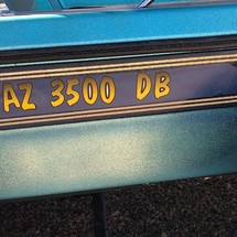Bass cat 20