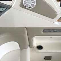 Chaparral 310 Signature