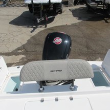 Sea Ray pro 208 bay