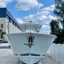Jupiter 38 fly